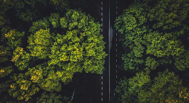 An aerial view of a road running through a forest