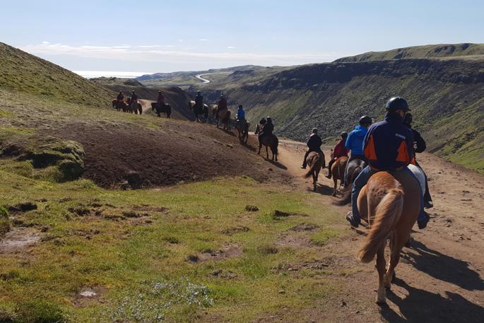 CWL Leisure - Icelandic horses