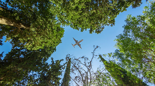 Metsämaisema ja lentokone