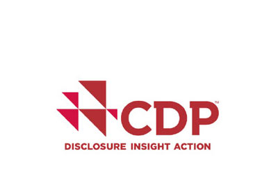 CDP - Disclosure insight action