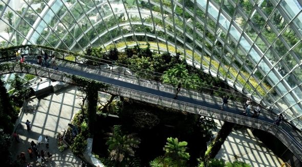Indoor garden