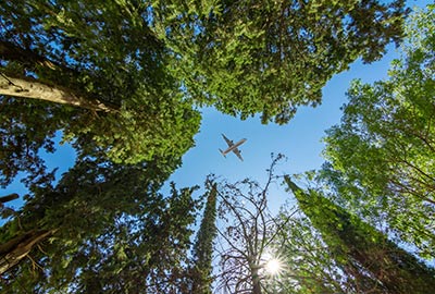 Sustainable Business Travel