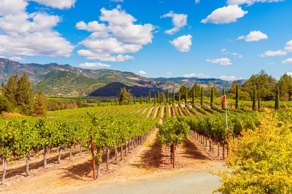 Napa Valley – Discover California’s sun-drenched wine region