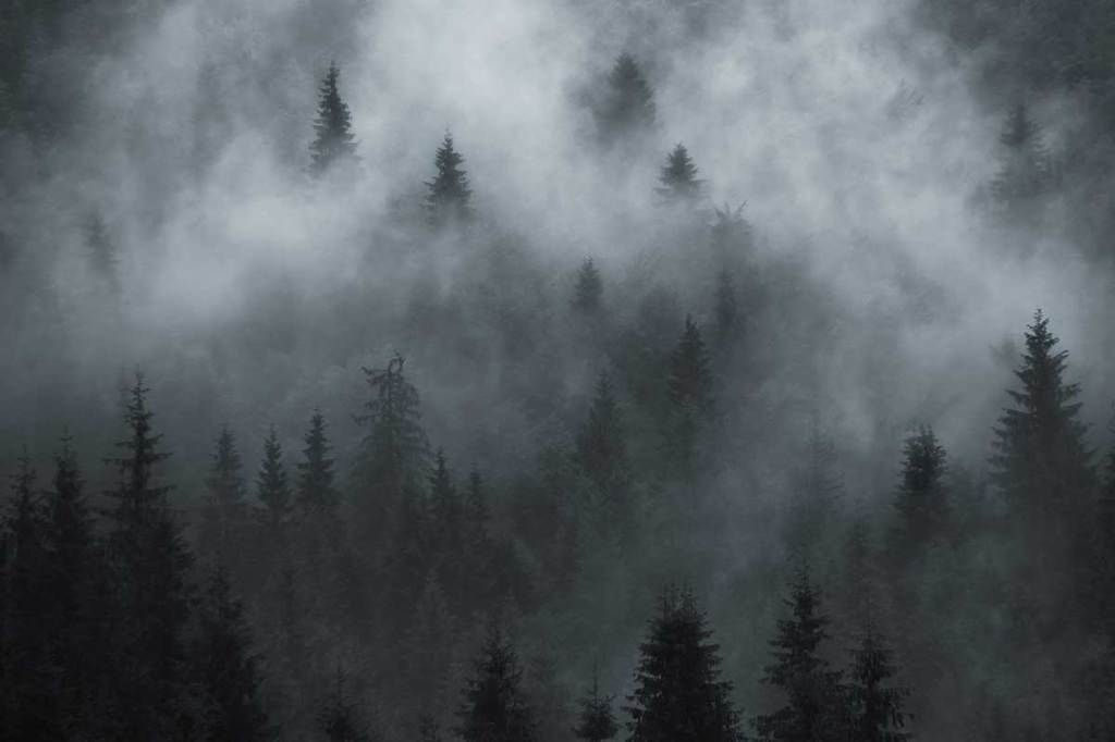 Flying in Fog: Can your travel program weather turbulence?