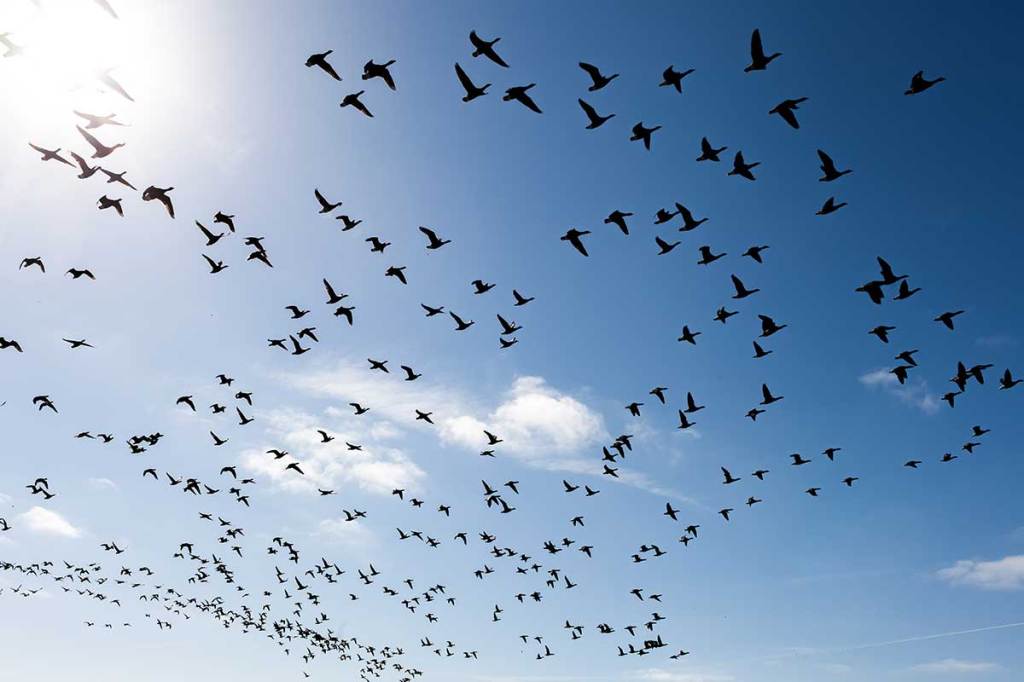 The fight for freedom: How organizations successfully combat human trafficking
