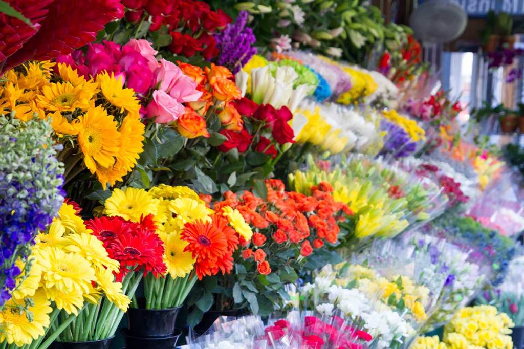 In lieu of flowers: Why are we still celebrating International Women’s Day?