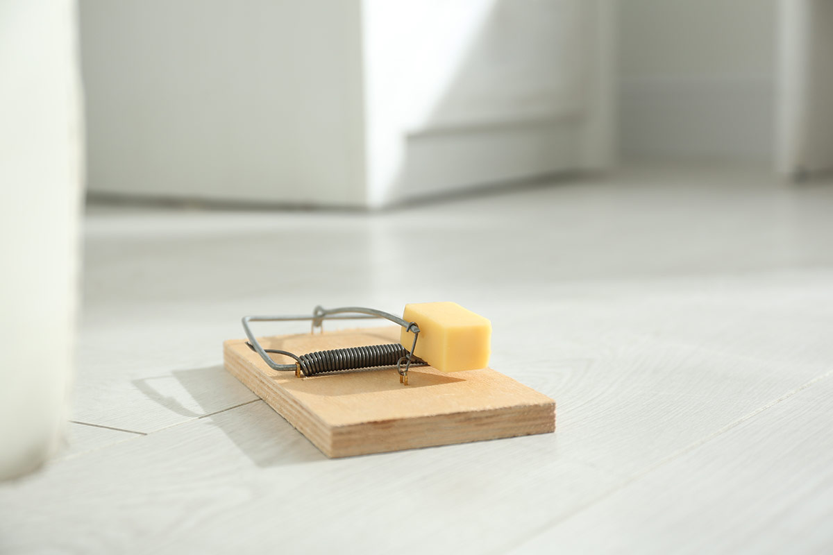 Building a better mousetrap – Smarter payment solutions for strategic meetings management