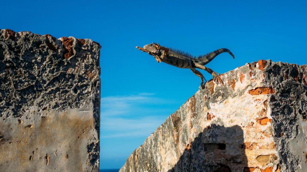 One giant leap: How to bridge the gap between travelers and travel buyers