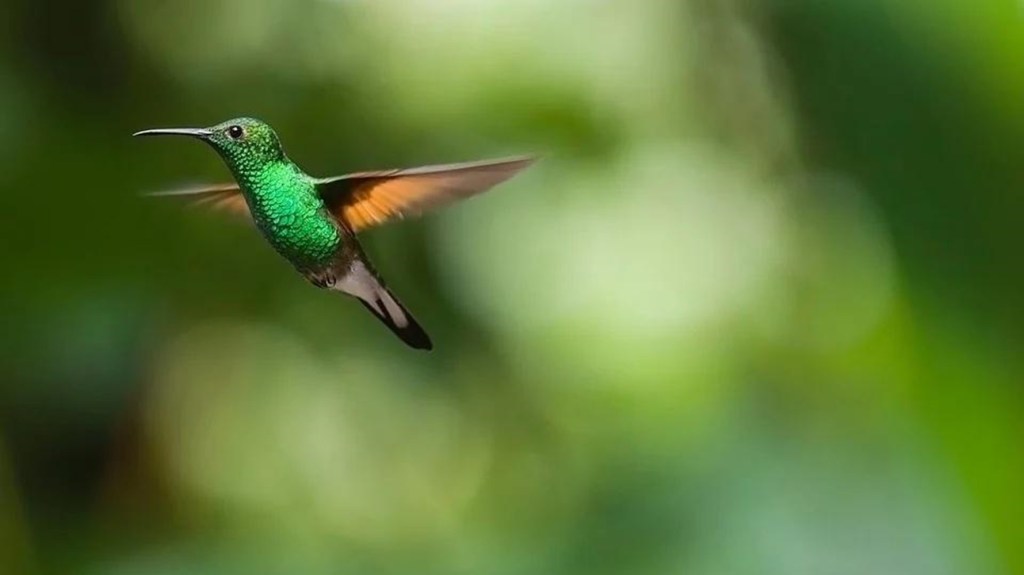 Promoting sustainable travel – Everyone’s business