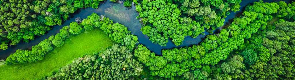 Reduce your impact on the environment with sustainable events