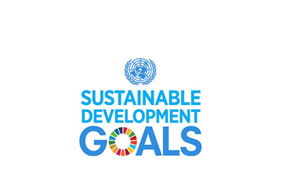 Sustainable Development Goals Logo