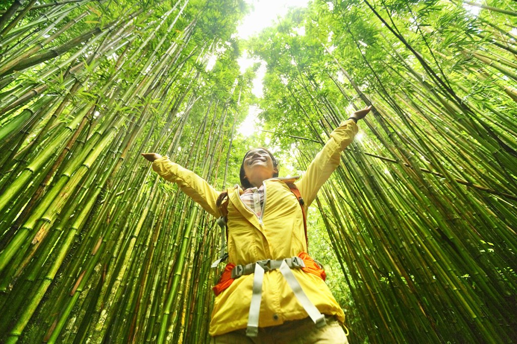 Get to know the conscious traveler